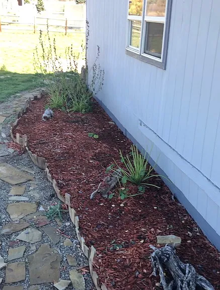 279 River Run Dr — Photo 12