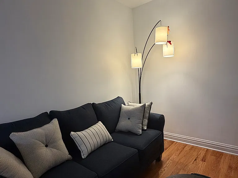 459 Springfield Ave — Photo 7