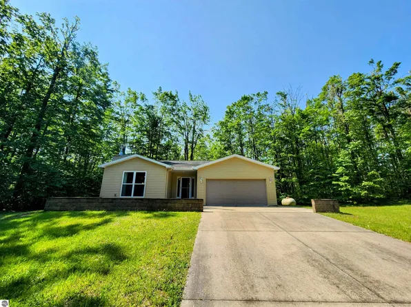 8456 Torreyhill Ct, Elmira, MI 49730