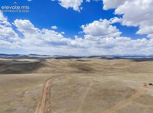 151 Black Beaver Cir, Hartsel, CO 80449