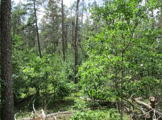 Wilderness Trl, Grayling, MI 49738