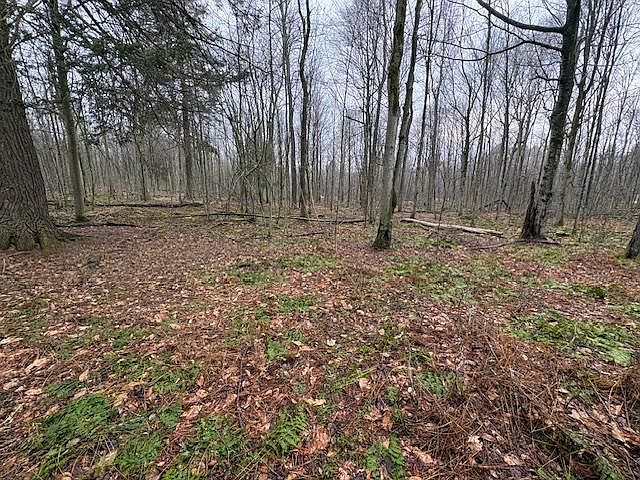 1st image of 0 Cherry Springs Rd