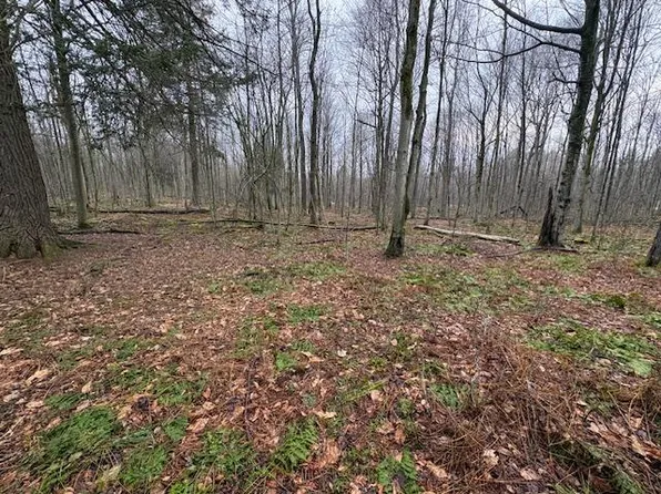 0 Cherry Springs Rd, Coudersport, PA 16915