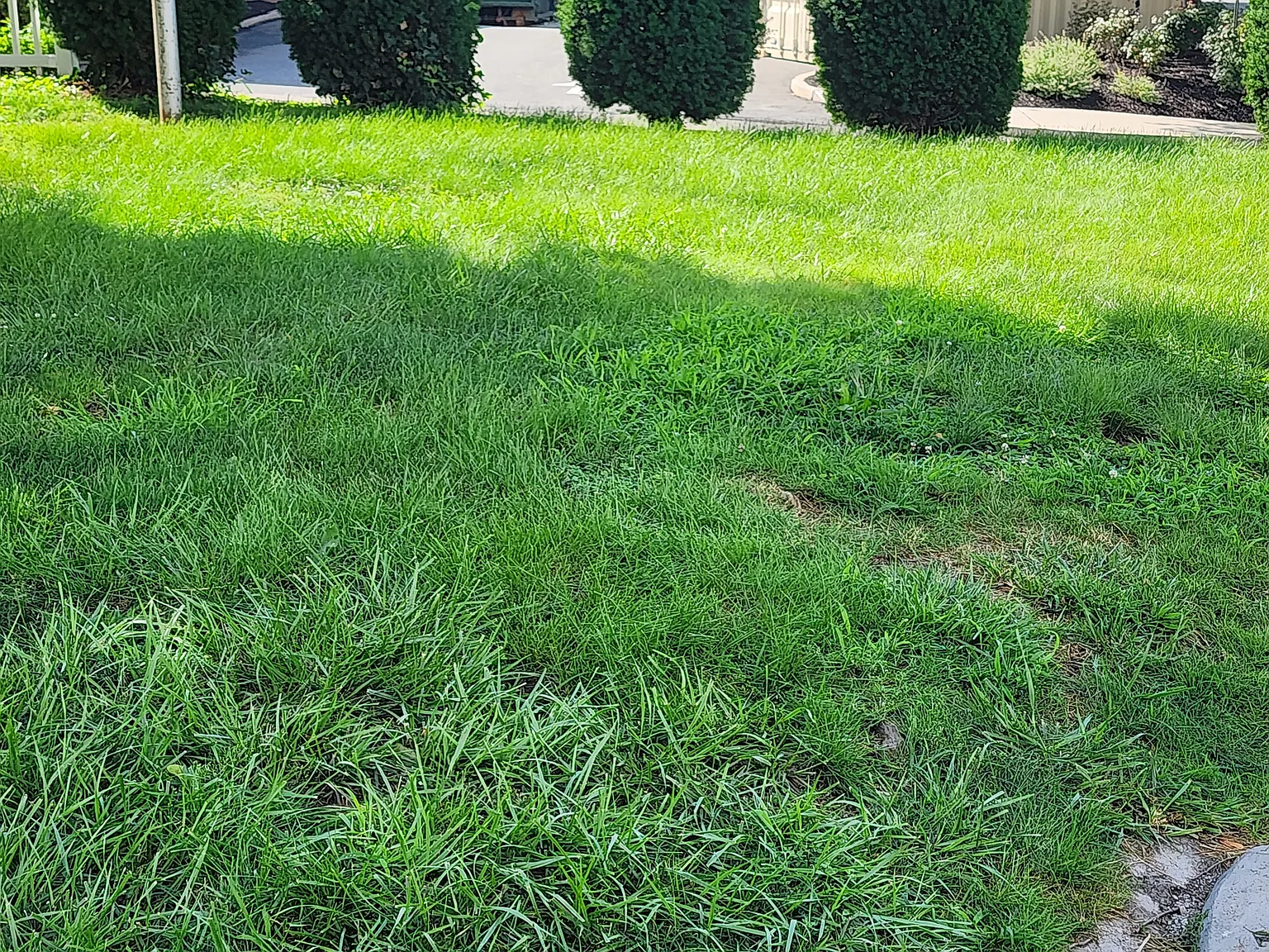 2 bed, 650 sqft, $2,500 — Photo 3