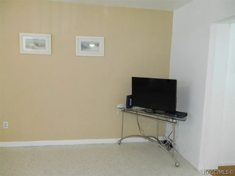 3515 S Fitch Ave — Photo 4