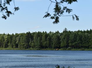 LOT 1 Horseshoe Lake Rd, Springfield, ME 04487