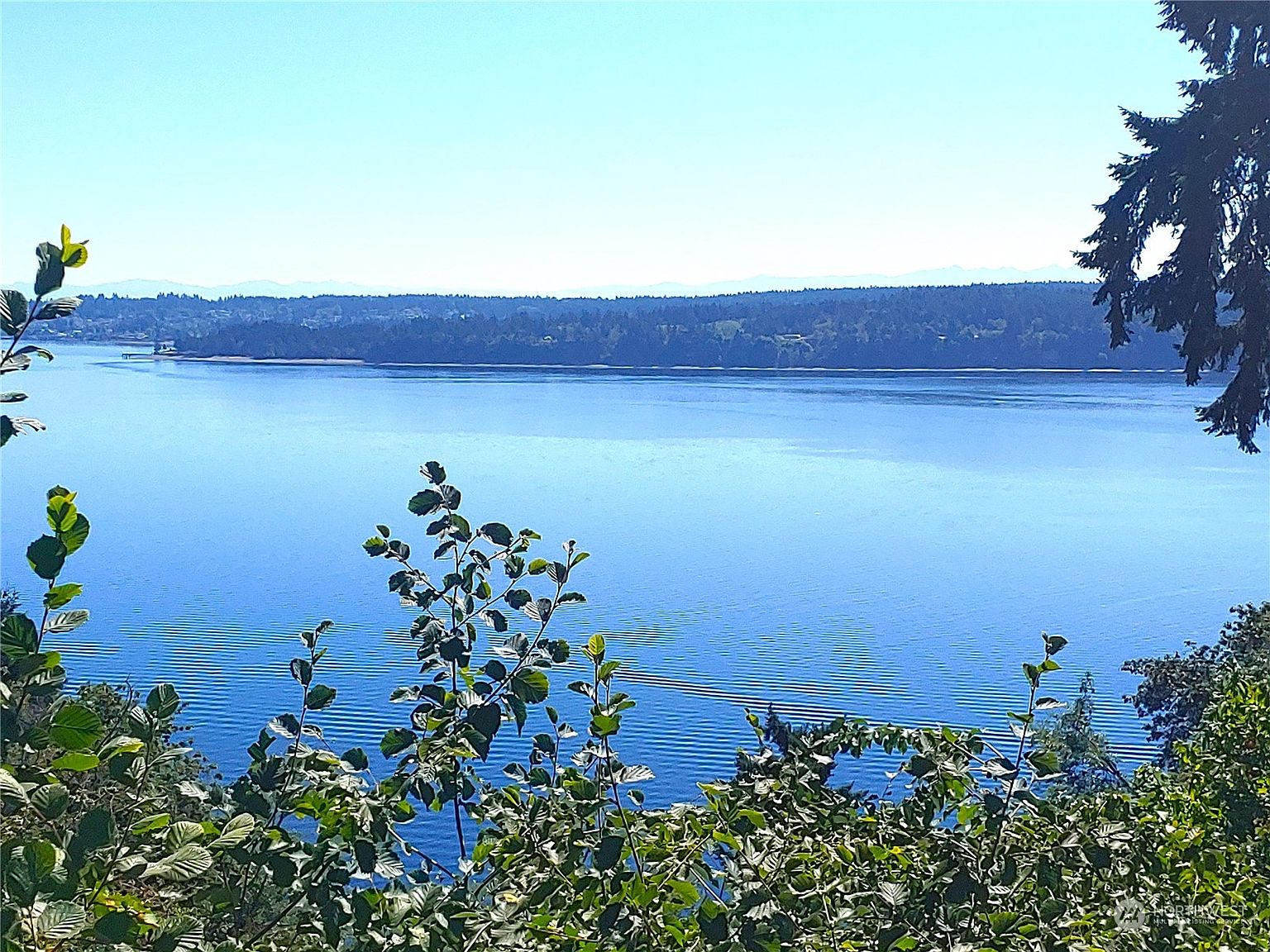 10503 Seaview Drive, Anderson Island, WA 98303 MLS NWM2140012 Zillow