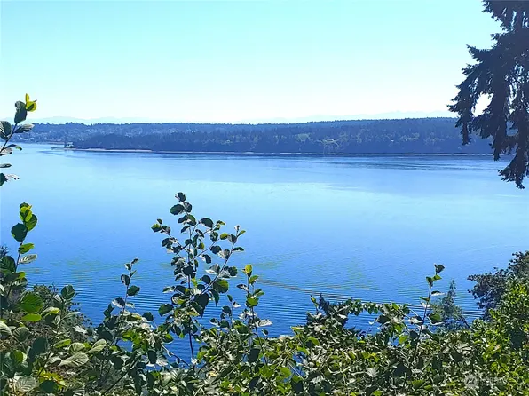 10503 Seaview Drive, Anderson Island, WA 98303