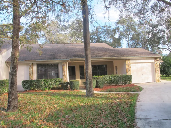6630 Brambleleaf Dr, Spring Hill, FL 34606