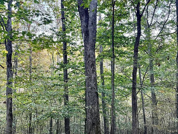 4th image of Tate Creek Rd