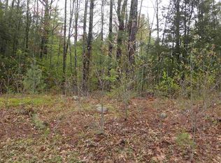 Old Stage Rd, Lake Luzerne, NY 12846