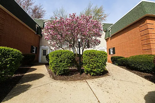 4789 Columbia Rd #201 Photo 1