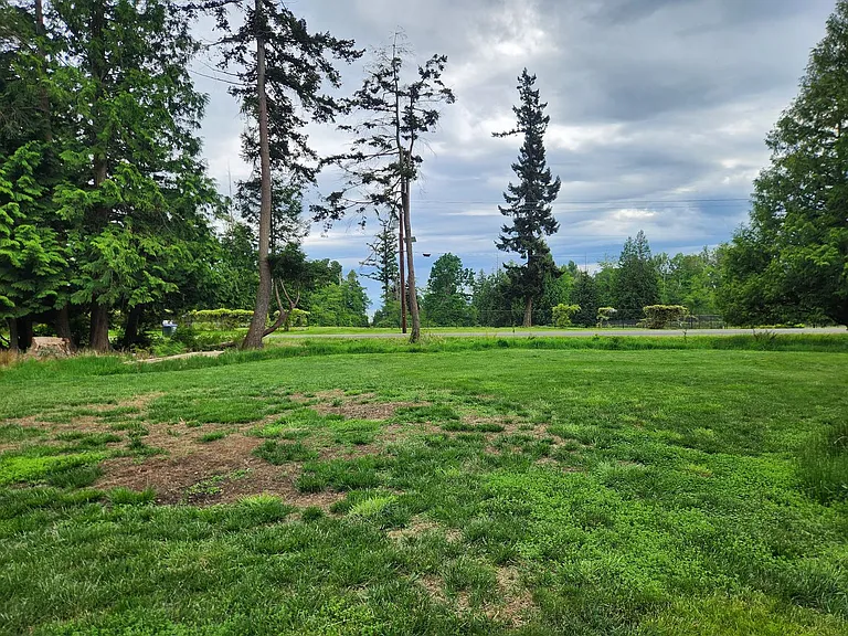 6040 Birch Point Rd — Photo 32