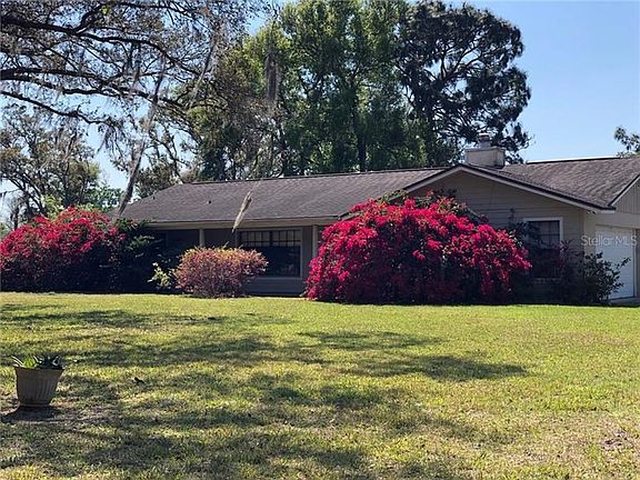 When Bougainvilleas are in bloom