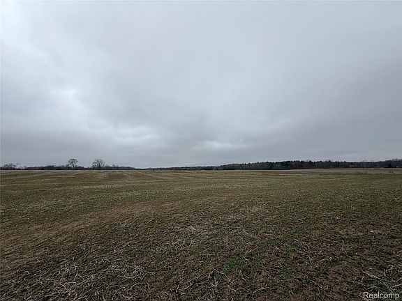 5th image of 3160 E Sanilac