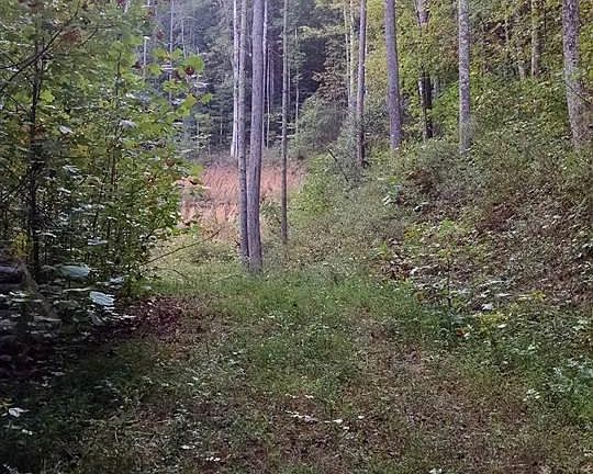 5th image of Rockwood Dr