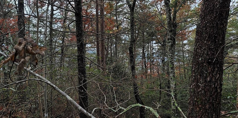 1st image of 89 Geneva Ln Lot 89