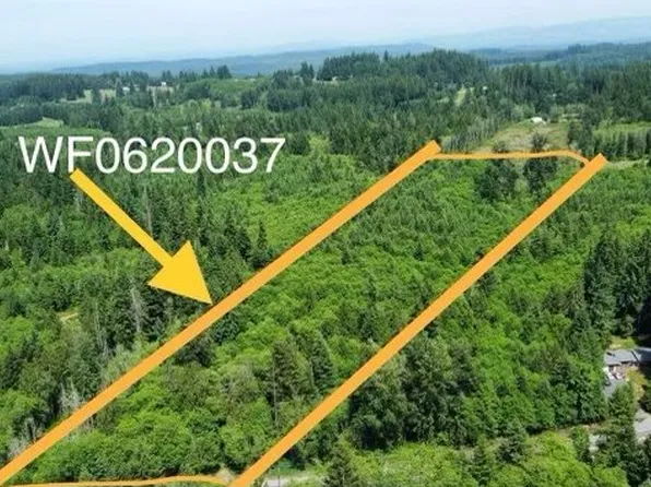 Spirit Lake Hwy #37, Castle Rock, WA 98611