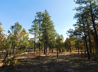 4006 Starlight Dr, Happy Jack, AZ 86024