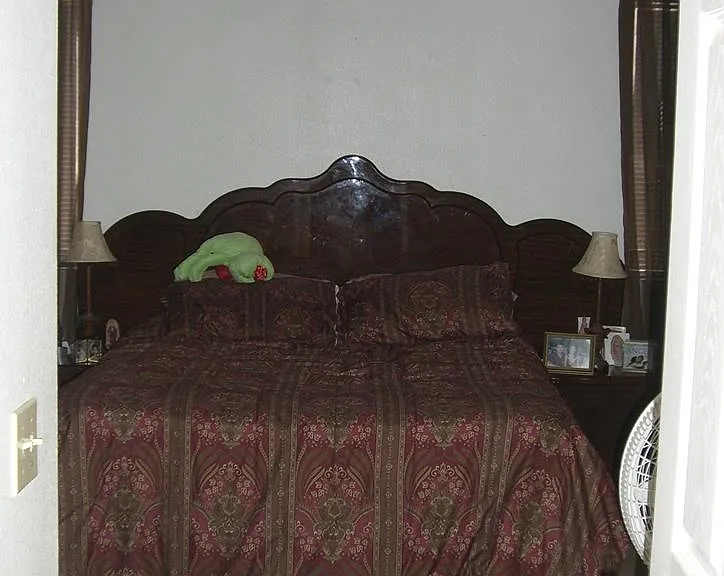 811 Fuchsia St — Photo 6
