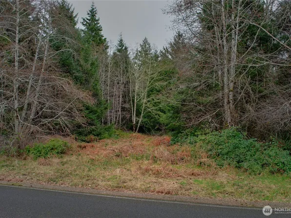 56 Ranta Road, South Bend, WA 98586