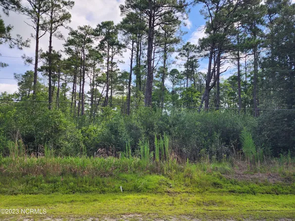 L-58 Black Hawk Road Road, Boiling Spring Lakes, NC 28461