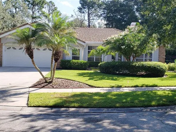 17839 Green Willow Dr, Tampa, FL 33647