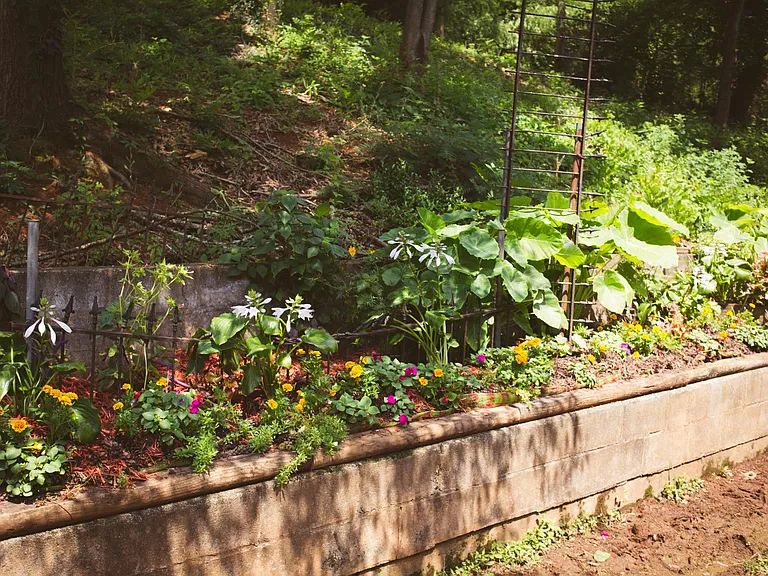 Private space for gardening.