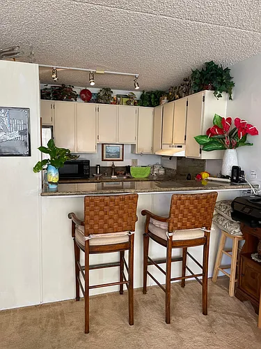 411 Hobron Ln #2511 Photo 1
