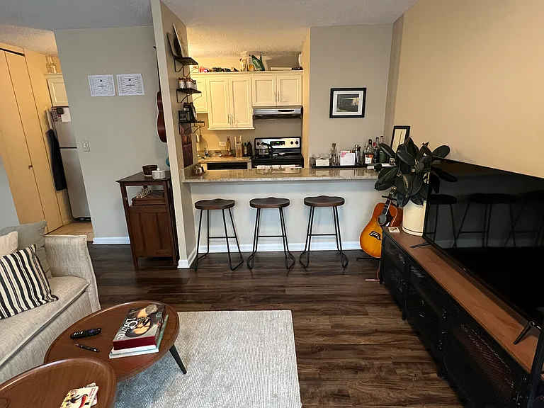 71 E Division St #1005 — Photo 9