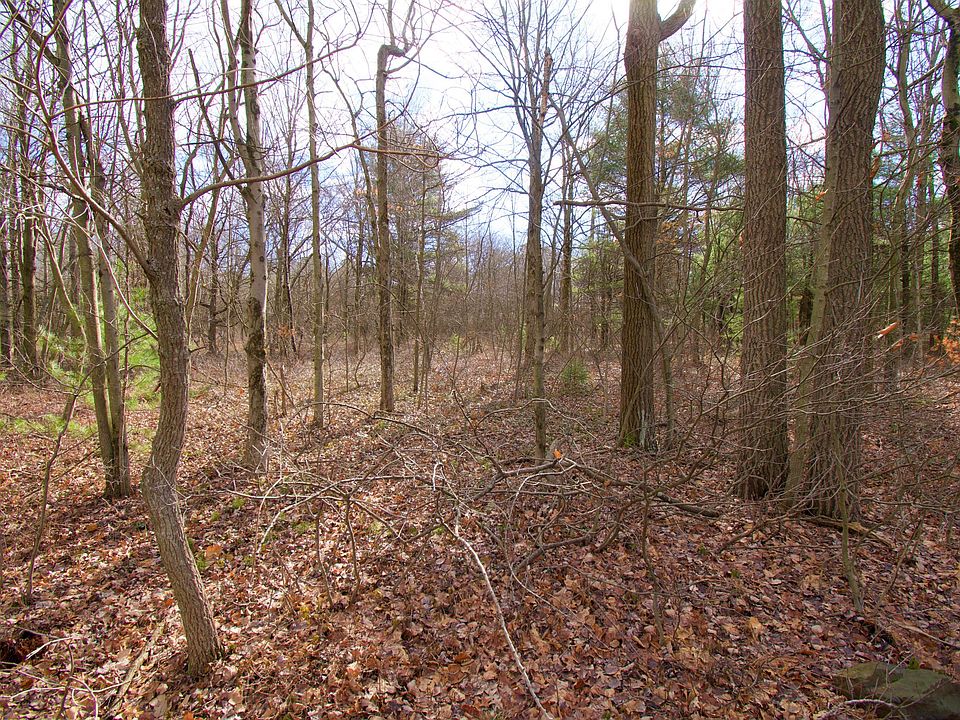 2nd image of D411 Cold Spring Dr