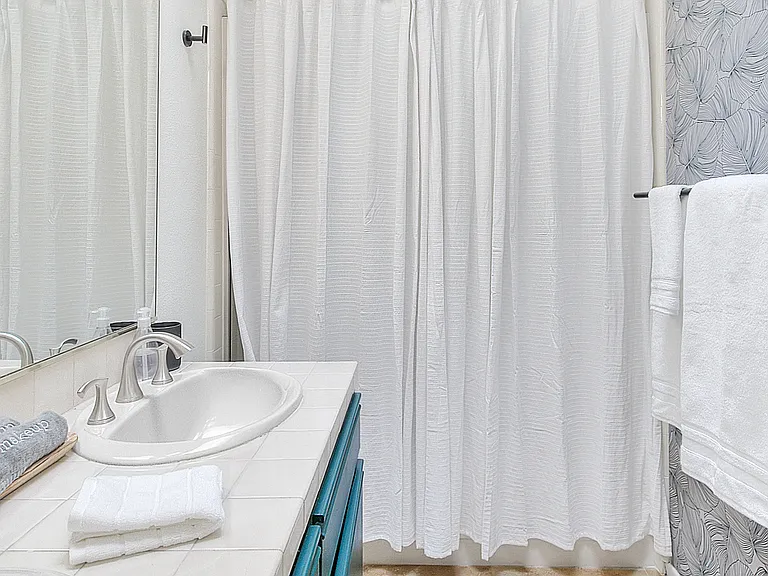Guest bathroom with tub shower combo