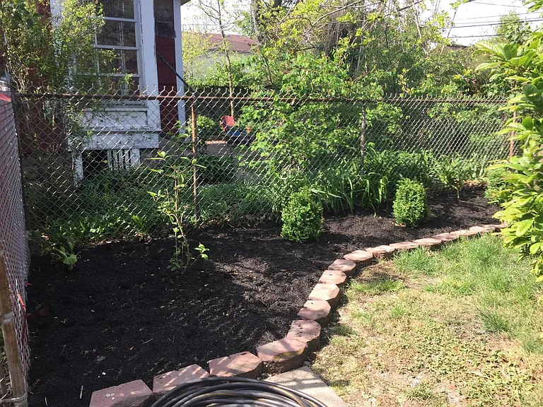 Landscaped Yard