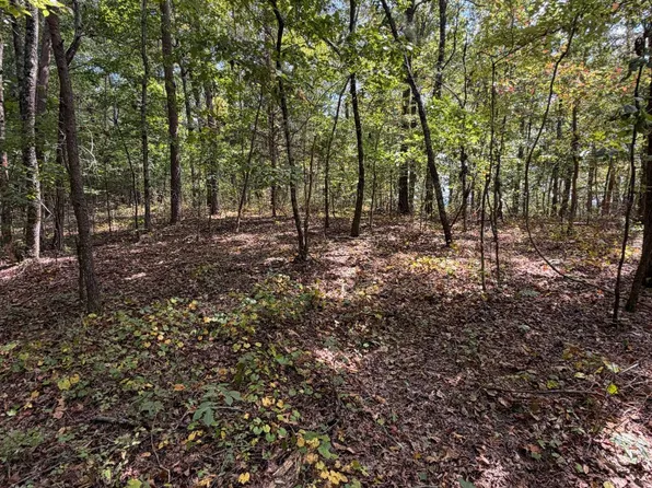 15065 Lock 17 Rd, Adger, AL 35006