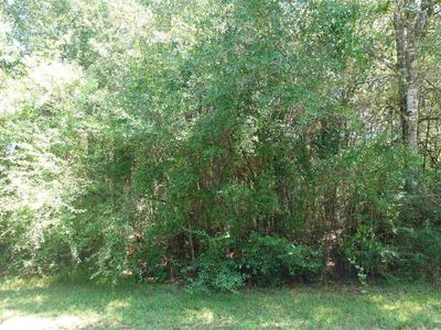 0 Riverwood Rd, Milton, FL, 32583