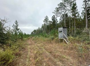 B & D Millside Rd, Laurel Hill, FL 32567