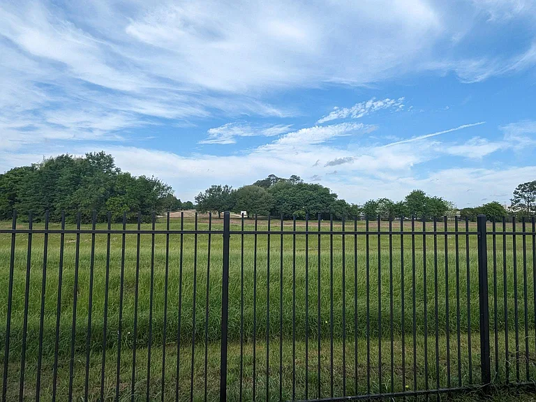 Open area in the rear maintainer by City of Houston and part of the flood prevention system.