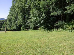 117 Buckner Dr, Roan Mountain, TN 37687