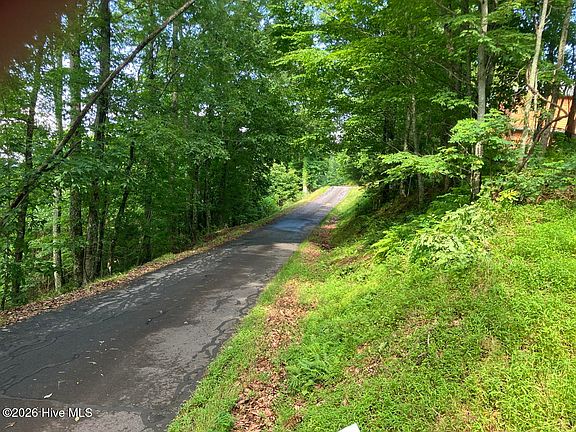 3rd image of Lot 51 Buck Ridge Drive LOT 51