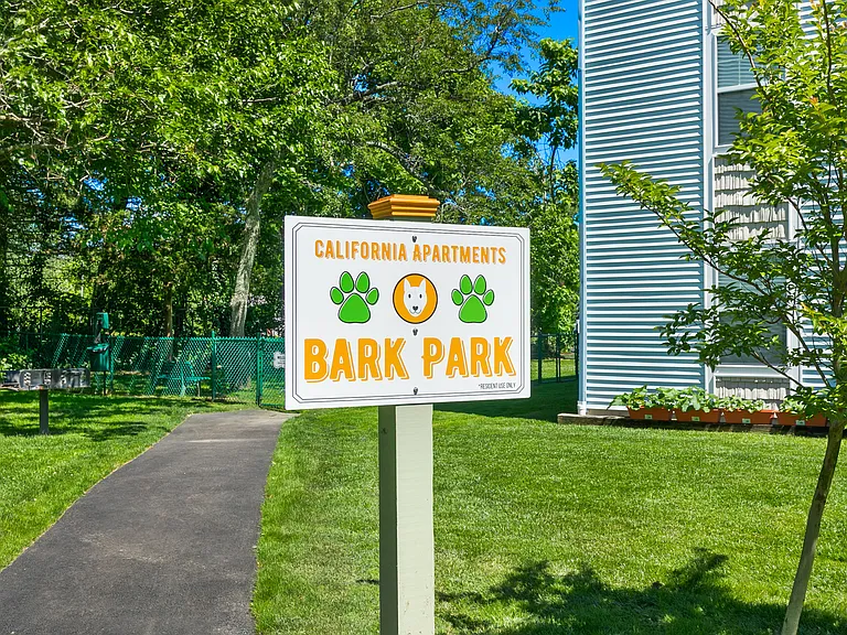 Dog Park