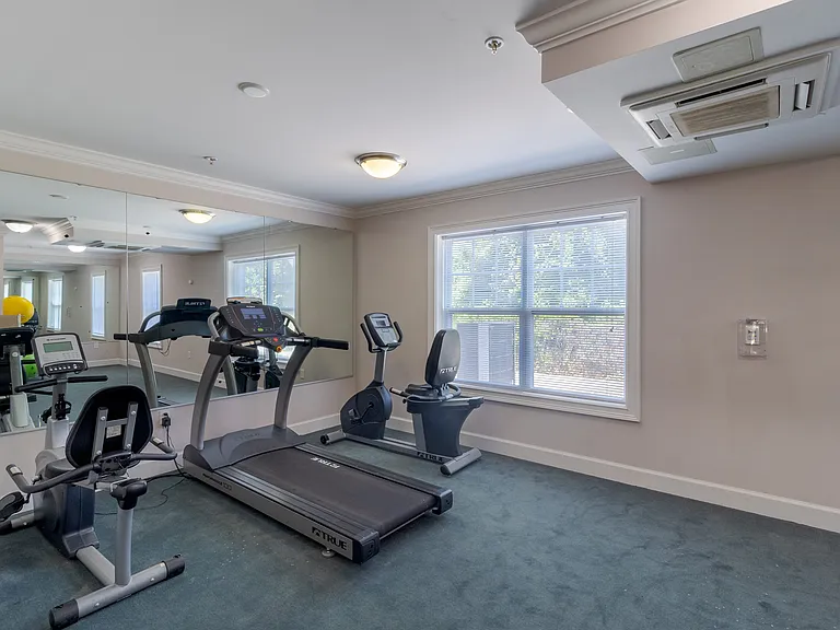 Bright fitness room with large windows, wall-length mirror, and high-quality cardio equipment including treadmill and recumbent bike at Snowden Senior Apartments.