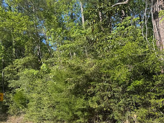 2nd image of Bob Sikes Rd