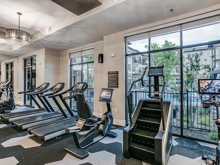 Zenith — Photo 45