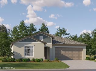 17724 Happytrails St, Land O Lakes, FL 34638