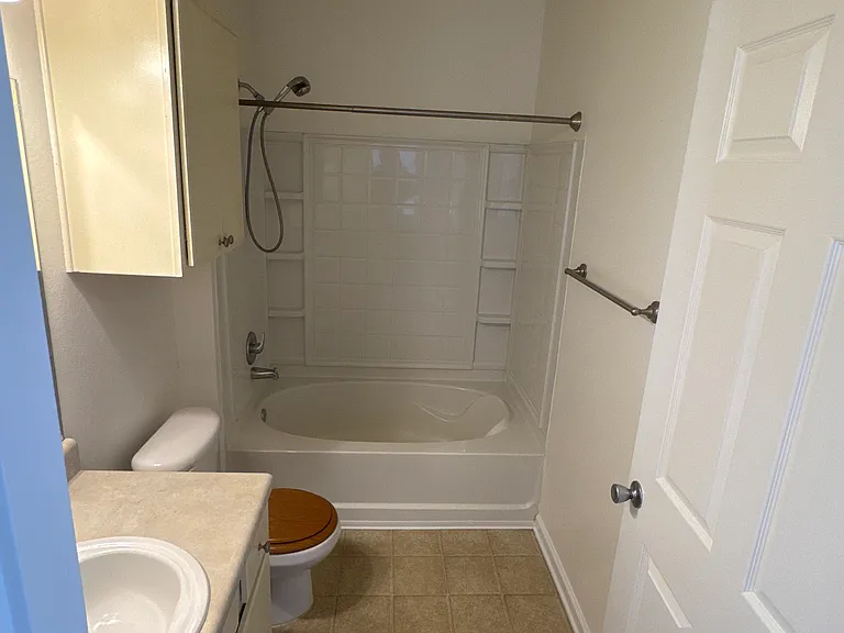 100 Vista Lake Dr #307 — Photo 8