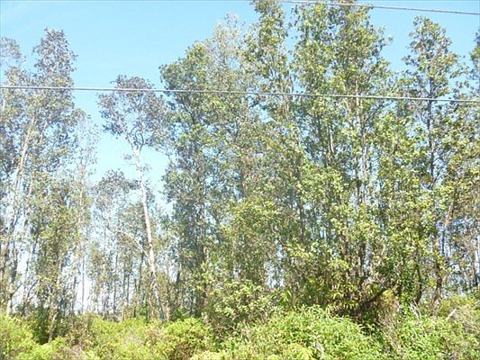 3rd image of Plumeria Dr Lot 47