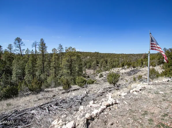 1740 Eskimo Ln, Heber, AZ 85928