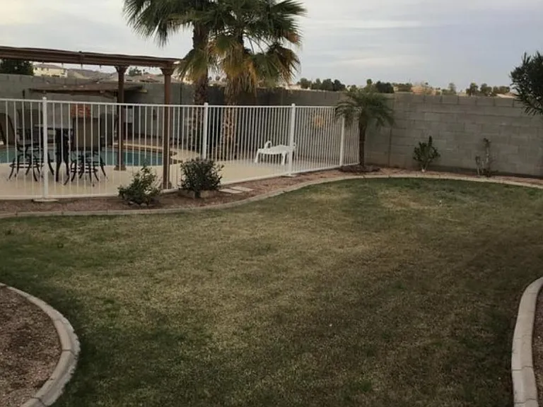 back yard