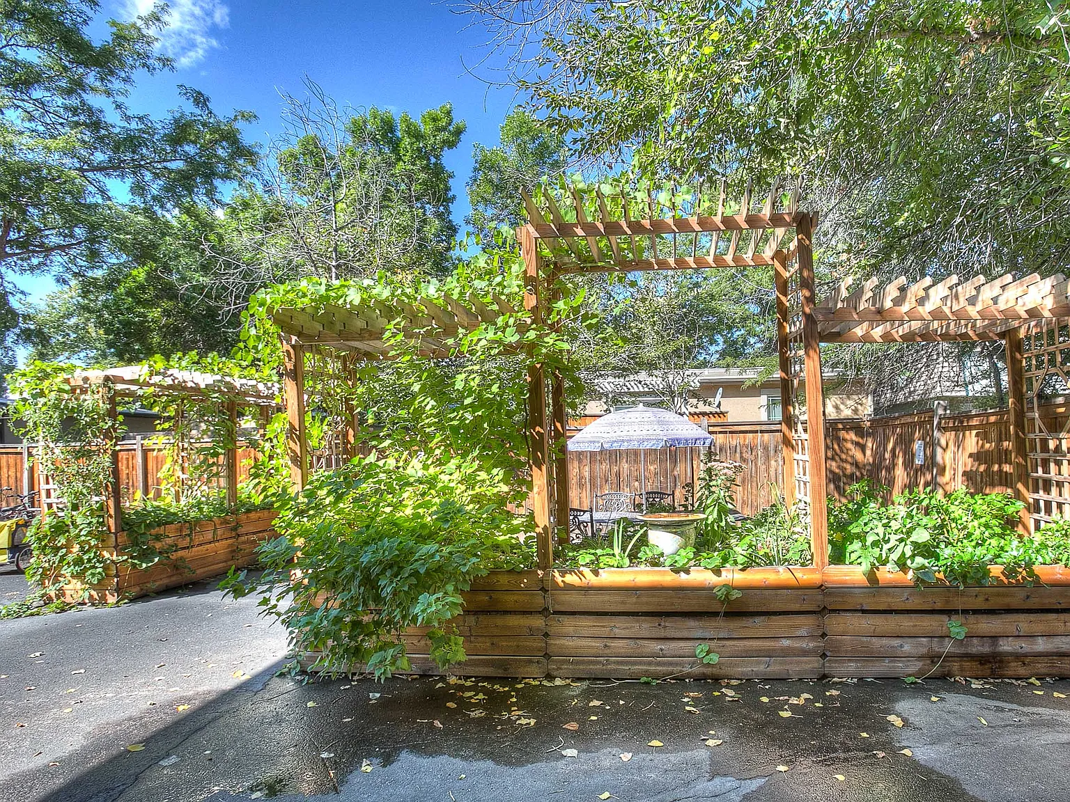 Village on Stanford — Photo 4