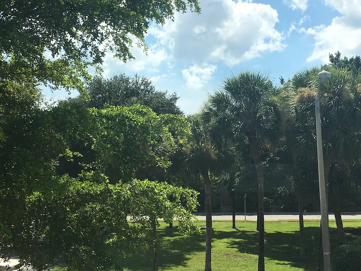 Upstairs Bedroom View - 634 Cohen Way